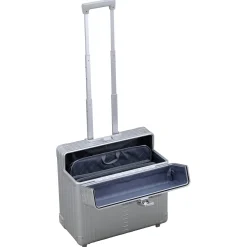 17 - 2-Rollen-Businesstrolley 42 cm (silver)