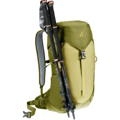 AC Lite 16 - Wanderrucksack 56 cm (linden-cactus)