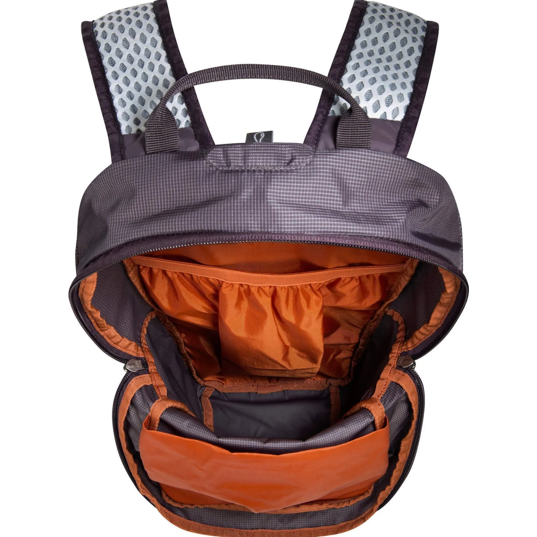 Active Pack 10 - Fahrrradrucksack 44 cm (midnight plum)
