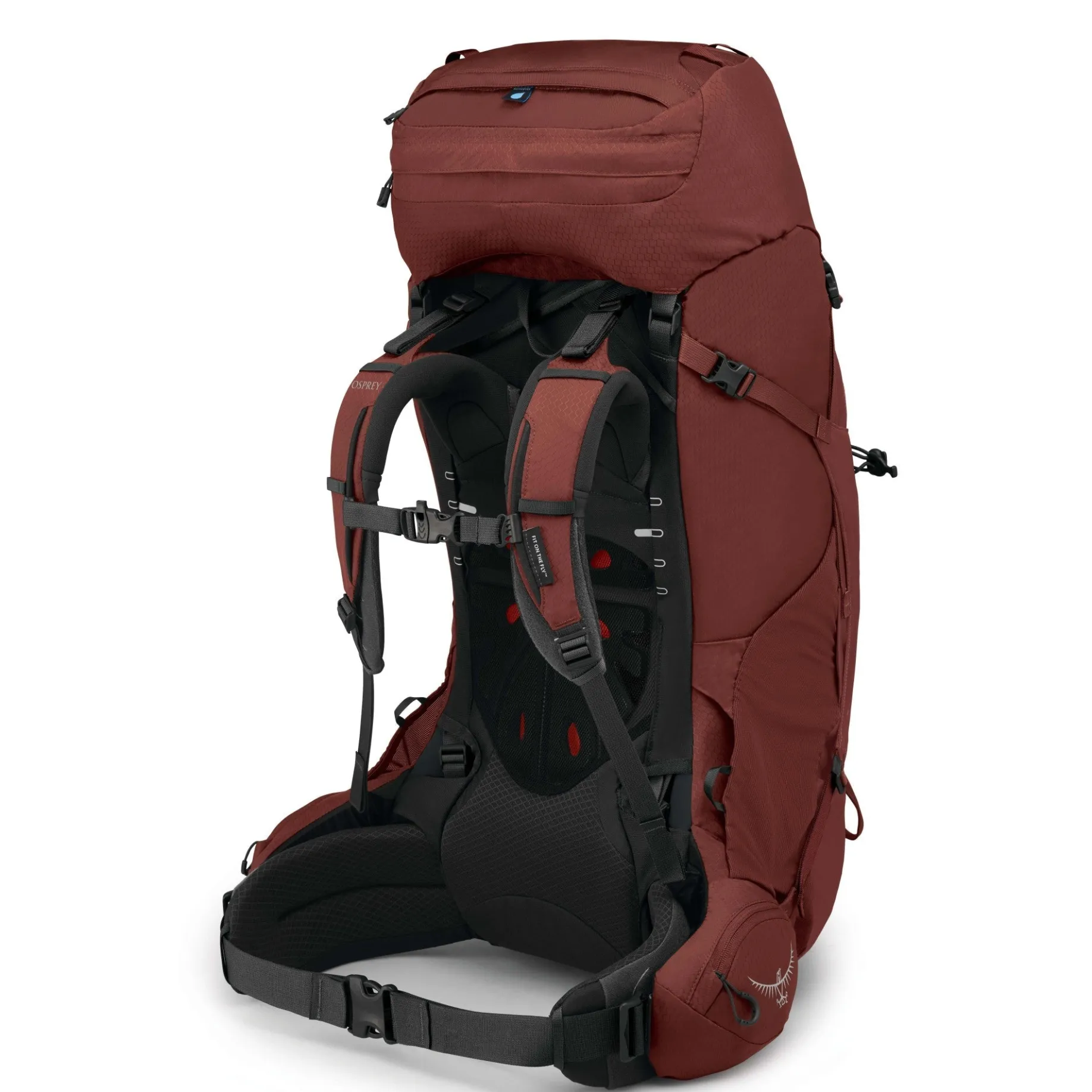 Aether 65 L/XL - Trekkingrucksack 80 cm (deep acorn red)