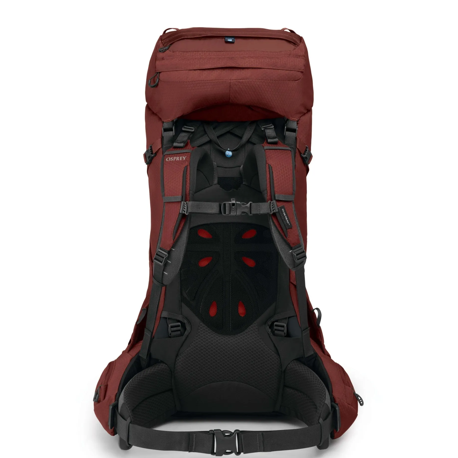 Aether 65 L/XL - Trekkingrucksack 80 cm (deep acorn red)