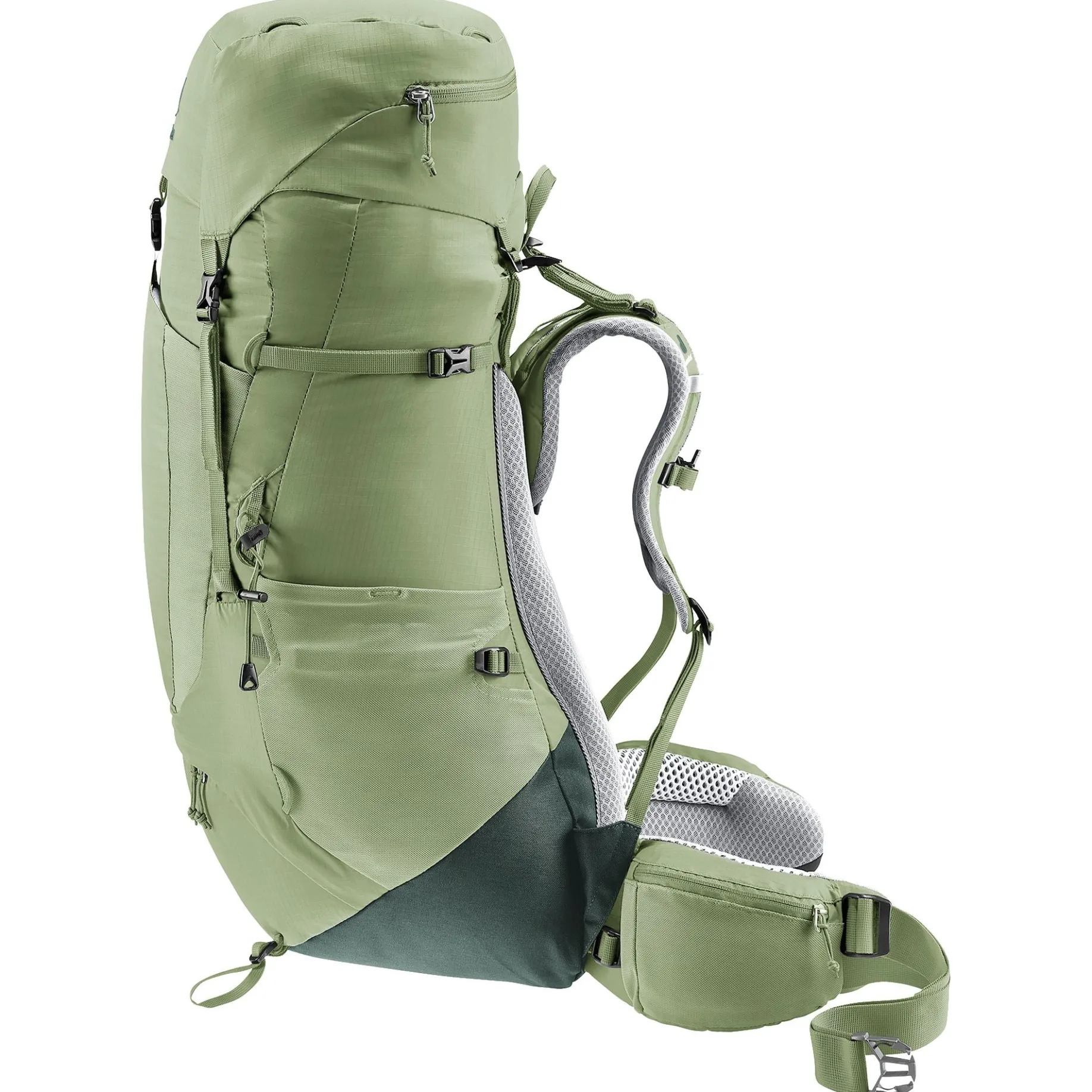 Aircontact Lite 45 + 10 SL - Women's Trekkingrucksack 73 cm (grove-ivy)