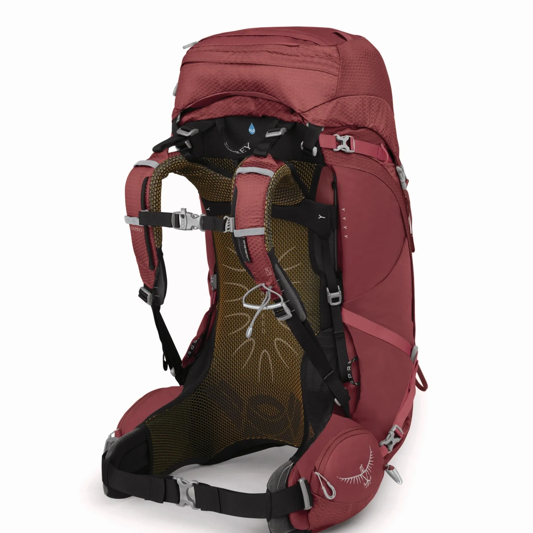Aura AG 50 - Trekkingrucksack WXS/S 75 cm (berry sorbet red)