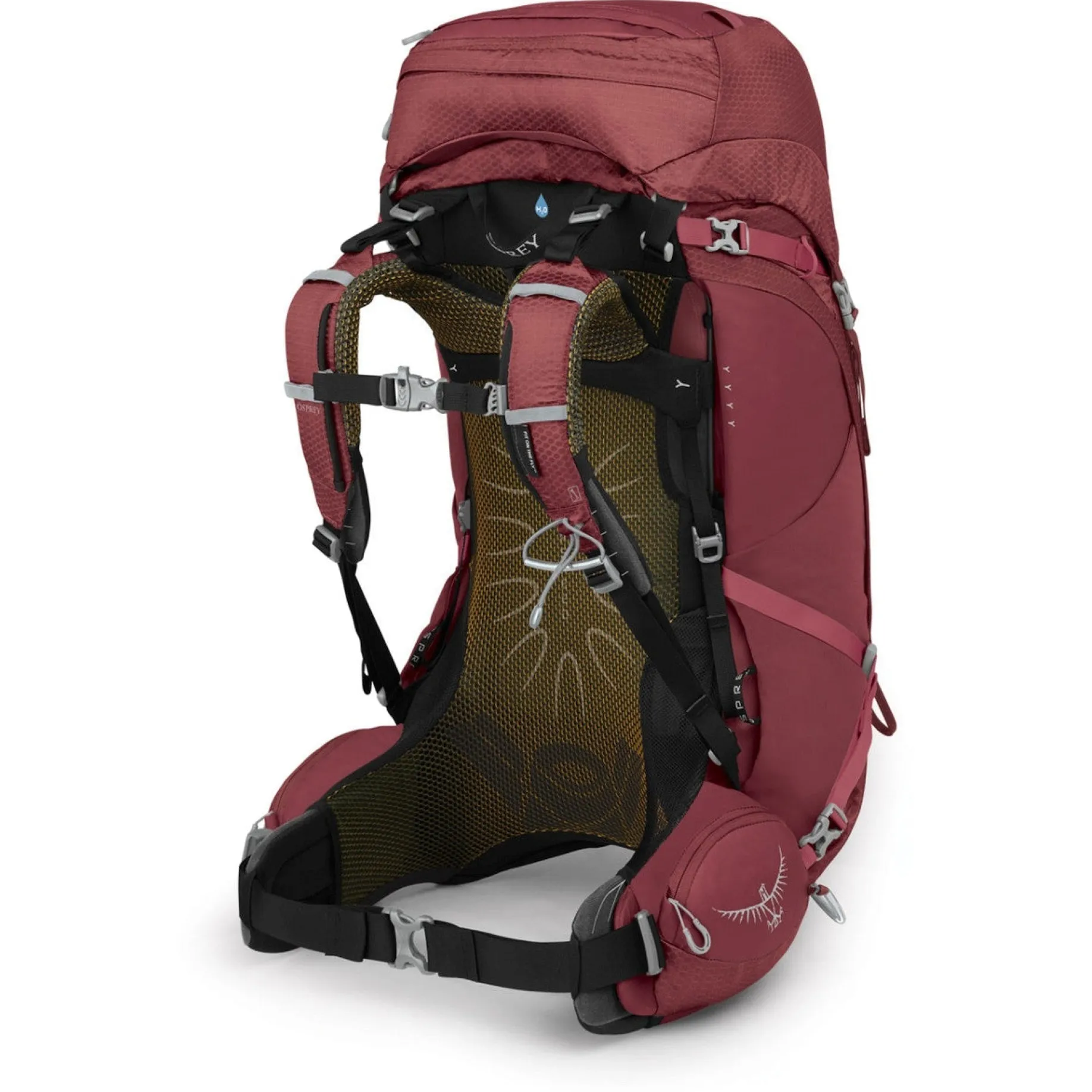 Aura AG 50 Women M/L - Trekkingrucksack 80 cm (berry sorbet red)