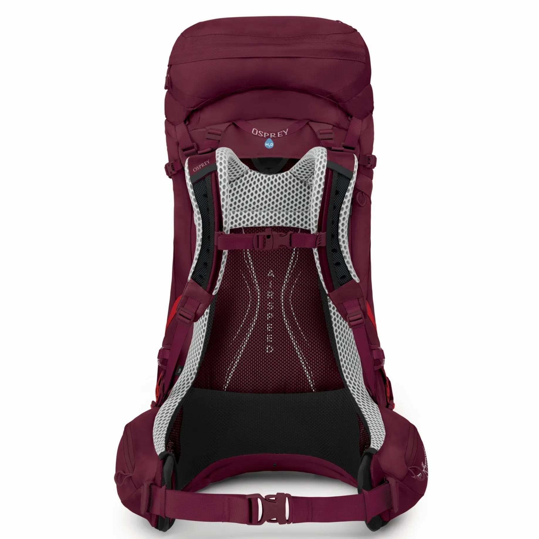 Aura AG LT 50 WXS/S - Trekkingrucksack 75 cm (antidote purple)