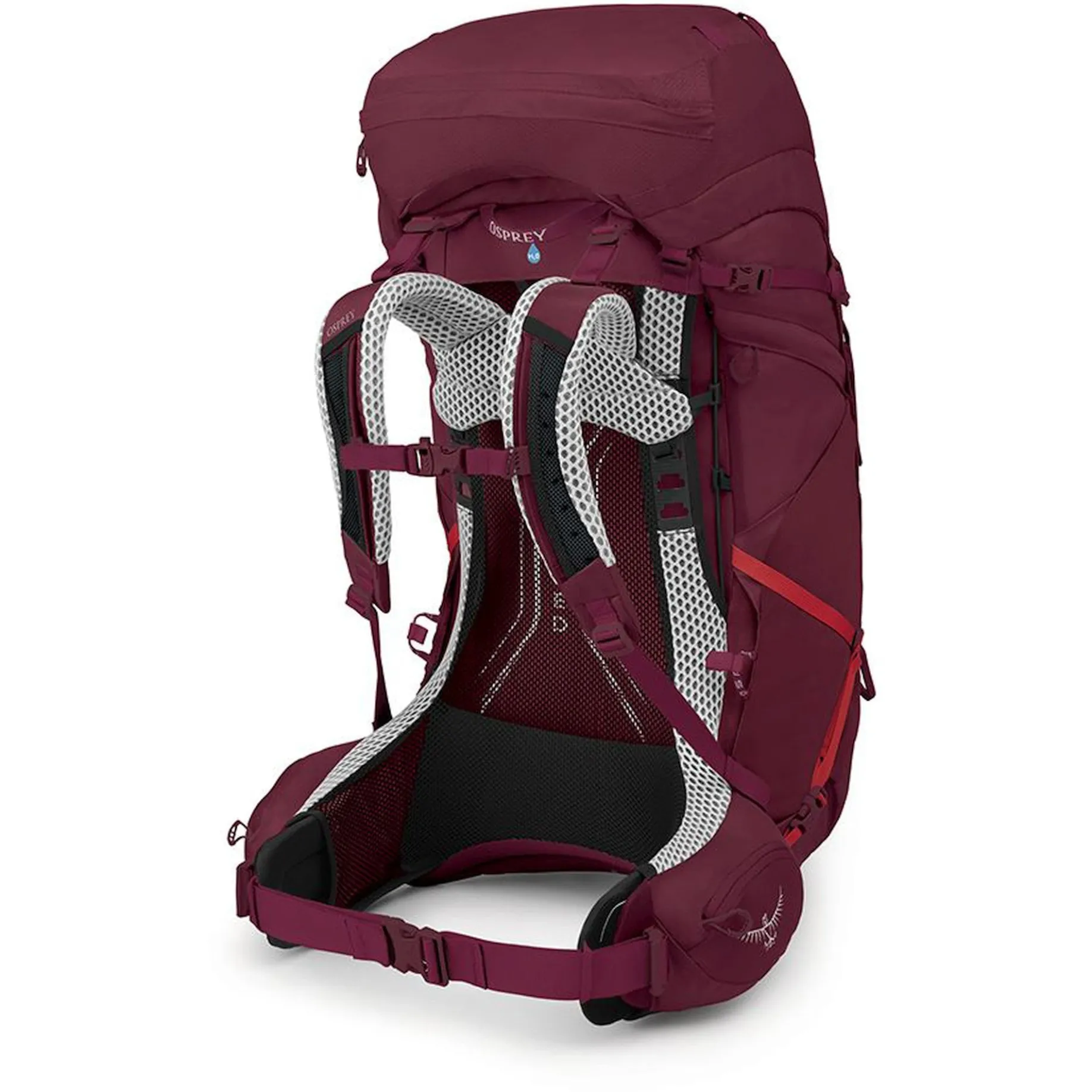 Aura AG LT 65 WXS/S - Trekkingrucksack 32 cm (antidote purple)