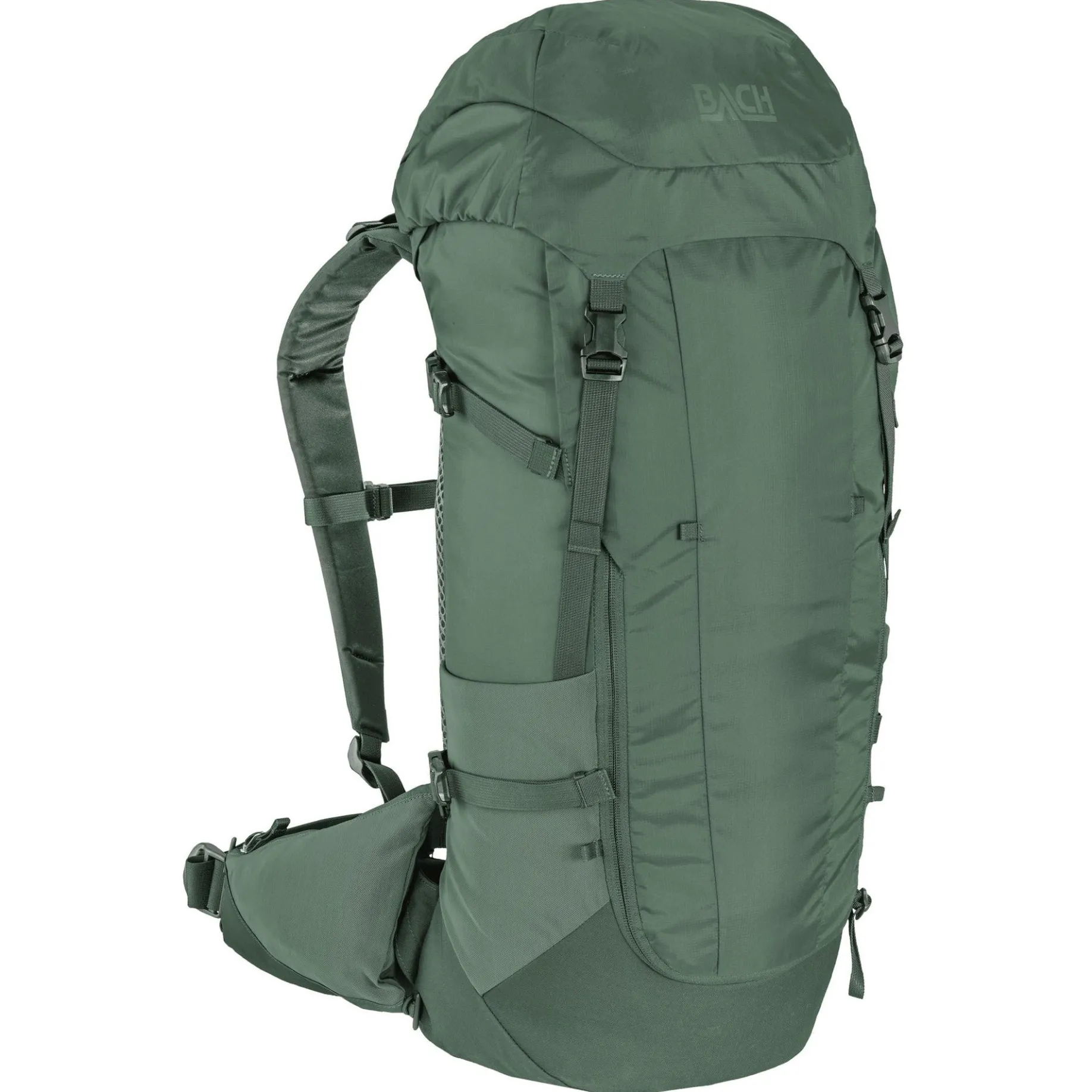 Daydream 35 - Wanderrucksack 65 cm (pine green, regular)