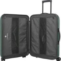 Dynamiic - 4-Rollen-Trolley M 66 cm erw. (grün)