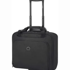 Esplanade - 2-Rollen-Businesstrolley 42 cm (anthrazit)