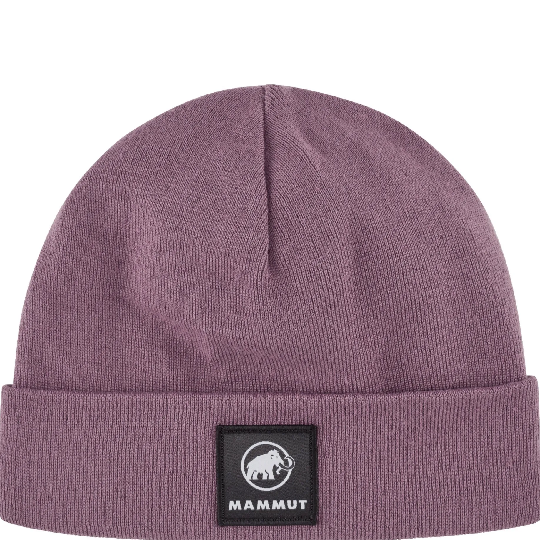 Fedoz Beanie - Mütze (flux)
