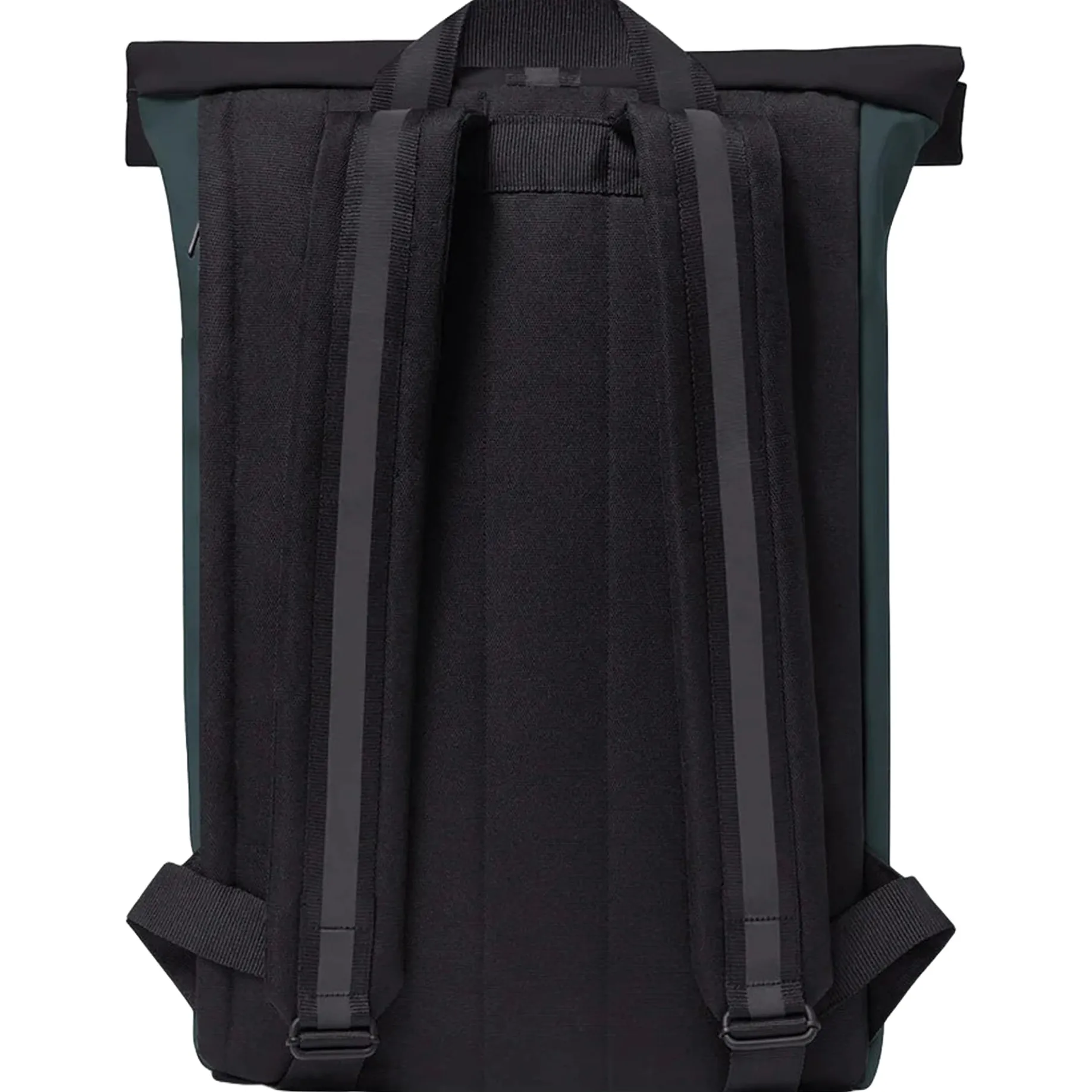 Jasper Medium Aloe Rolltop - Rucksack 16'' 45 cm (forest/black)