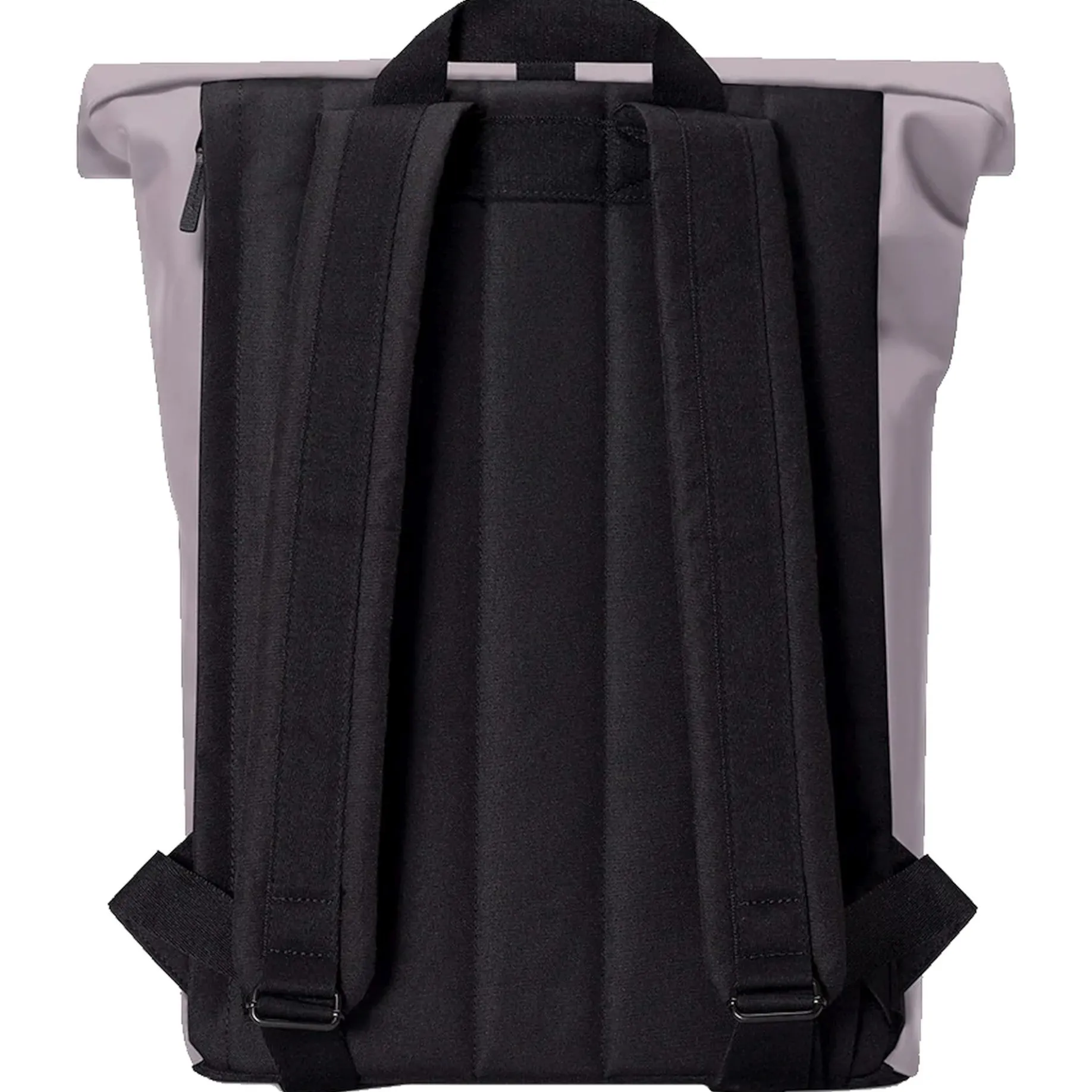 Jasper Medium Lotus Rolltop - Rucksack 16'' 45 cm (dusty lilac)
