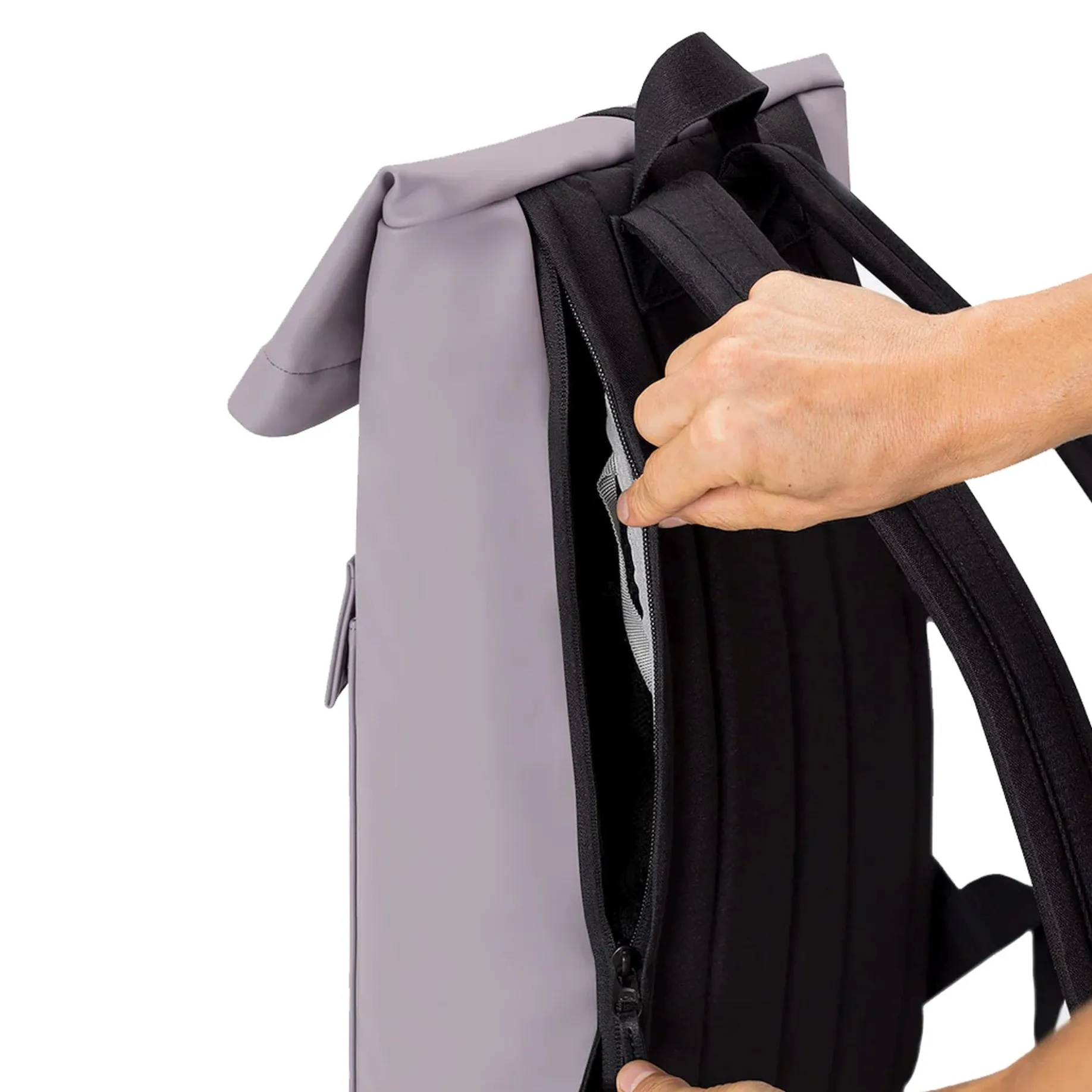 Jasper Medium Lotus Rolltop - Rucksack 16'' 45 cm (dusty lilac)
