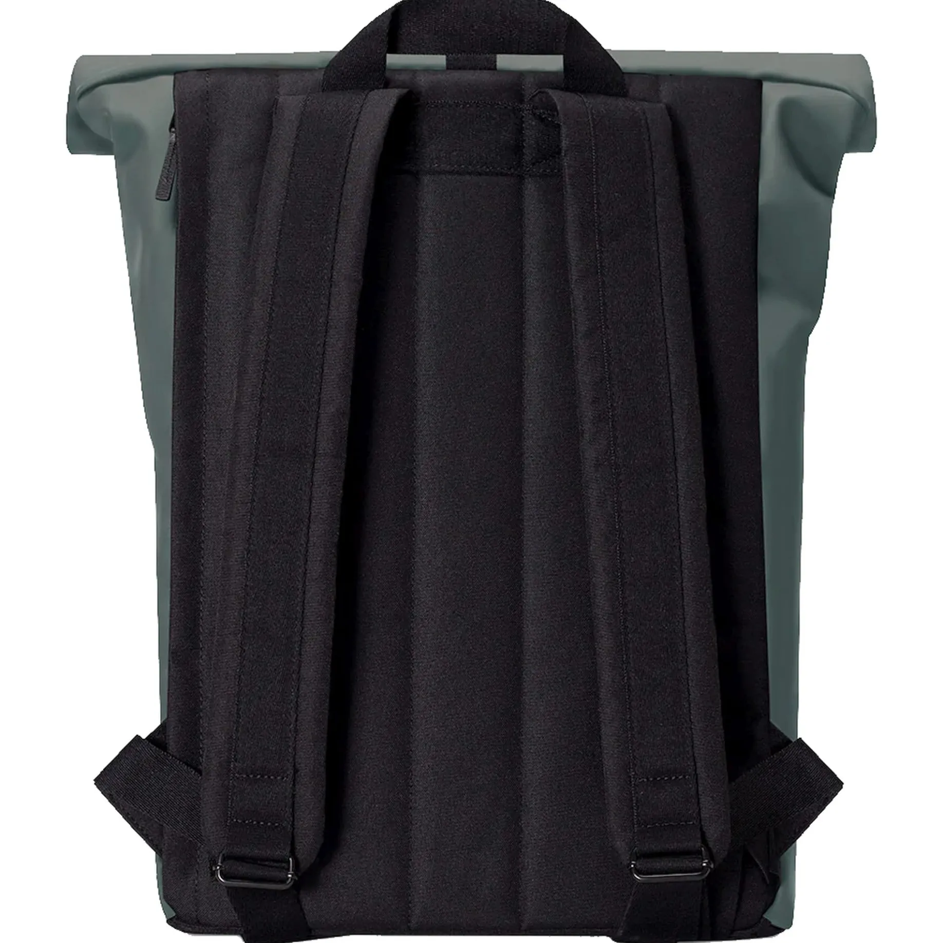 Jasper Medium Lotus Rolltop - Rucksack 16'' 45 cm (pine green)