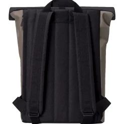 Jasper Medium Lotus Rolltop - Rucksack 16'' 45 cm (dark grey/petrol)