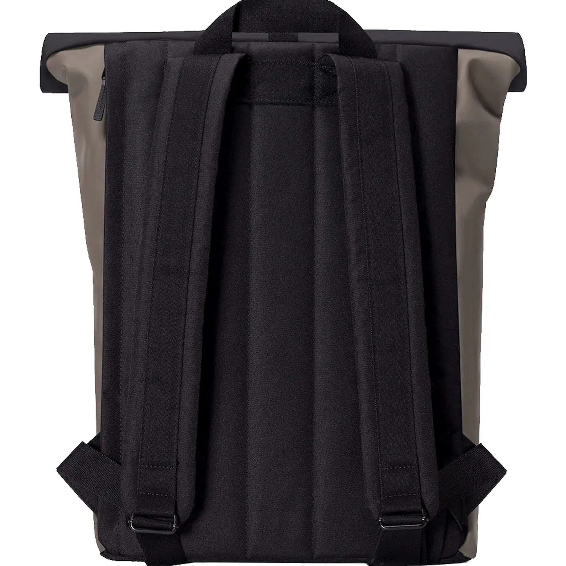 Jasper Medium Lotus Rolltop - Rucksack 16'' 45 cm (dark grey/petrol)