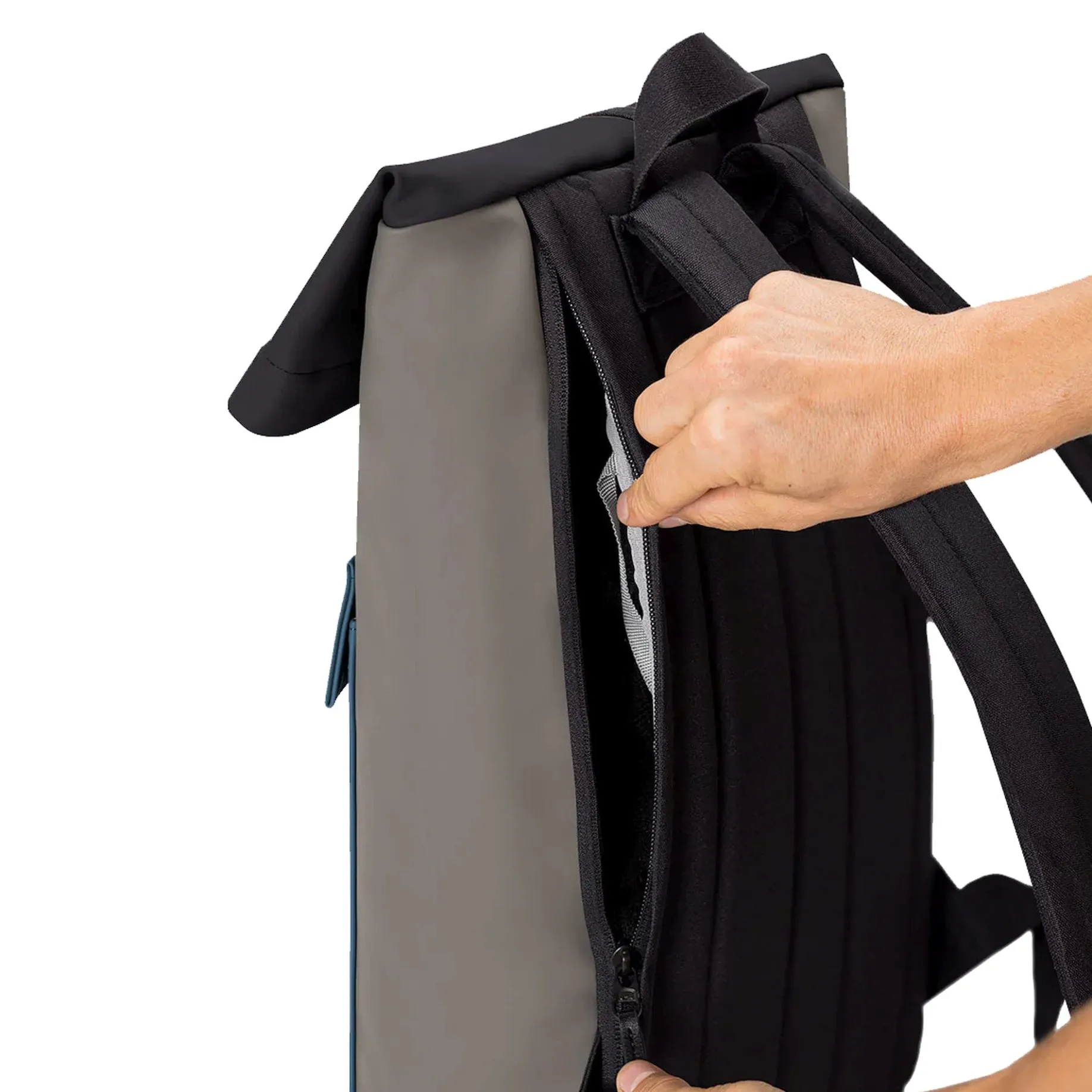 Jasper Medium Lotus Rolltop - Rucksack 16'' 45 cm (dark grey/petrol)