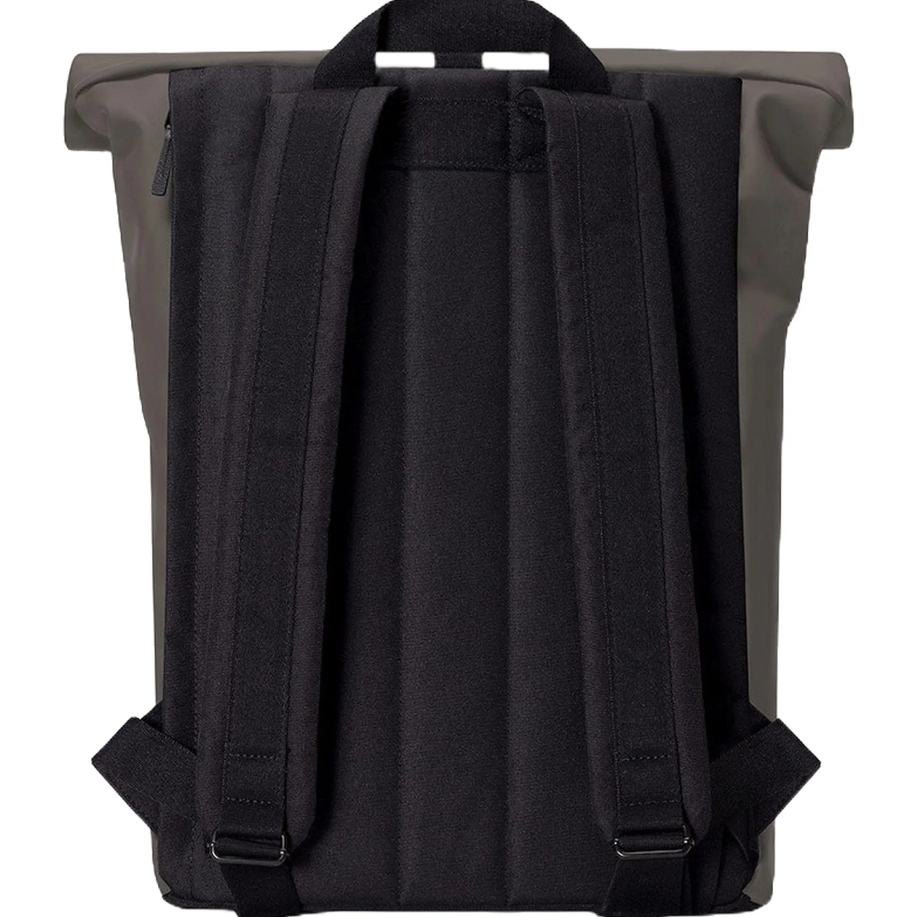 Jasper Medium Lotus Rolltop - Rucksack 16'' 45 cm (dark grey)