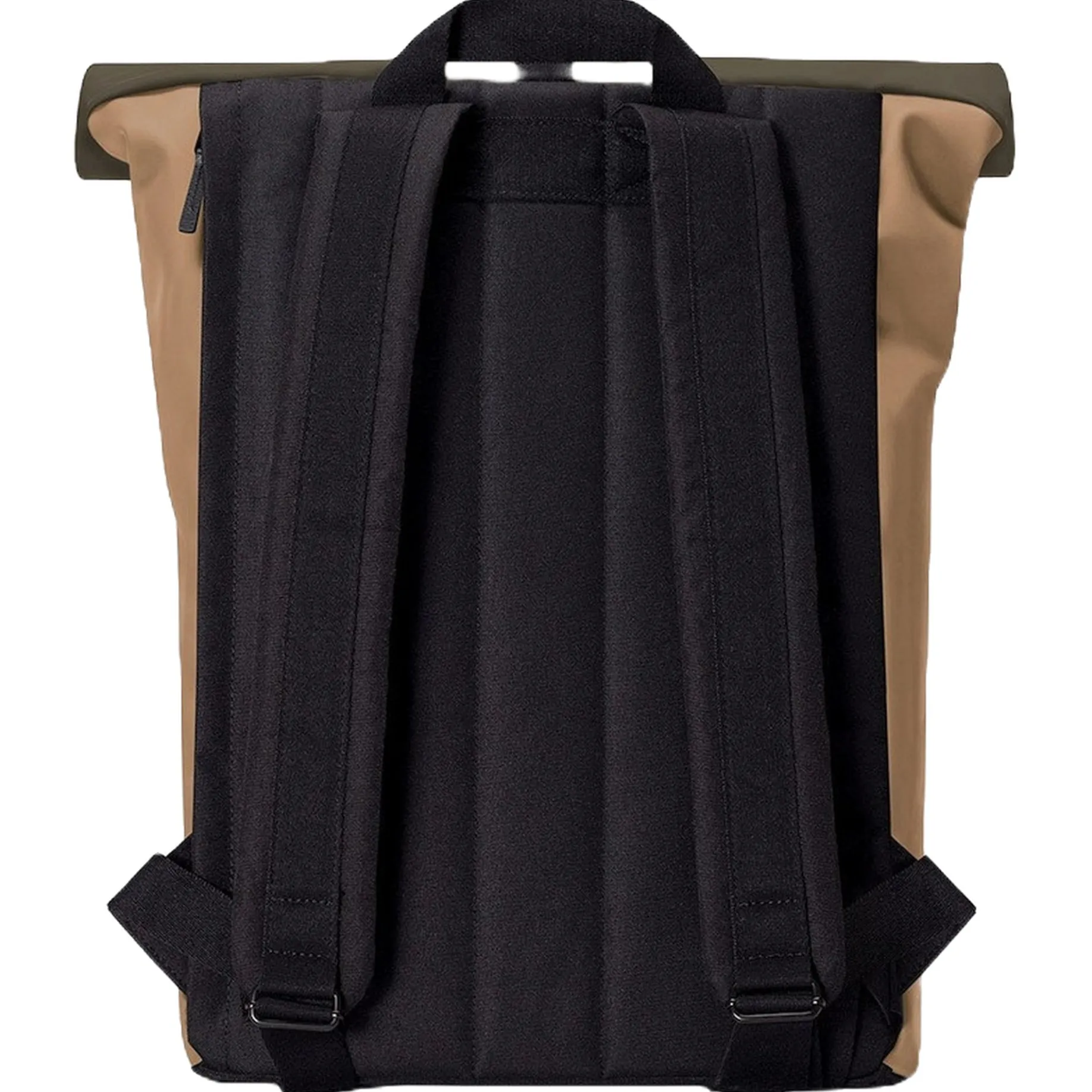 Jasper Medium Lotus Rolltop - Rucksack 16'' 45 cm (olive/almond)