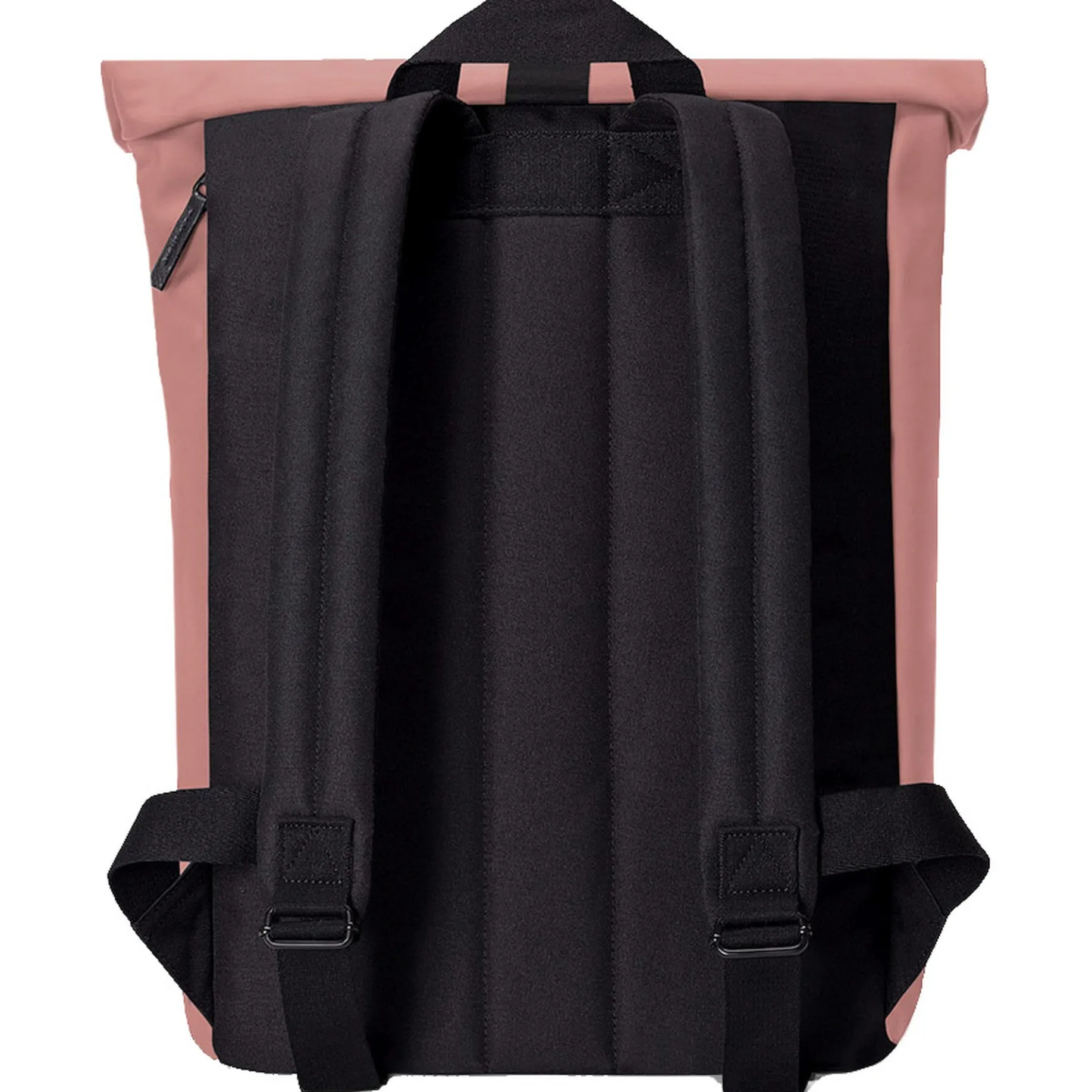 Jasper Mini Lotus Rolltop - Rucksack 16'' 42 cm (dark rose)