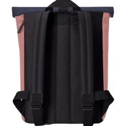 Jasper Mini Lotus Rolltop - Rucksack 16'' 42 cm (hibiscus - dark rose)