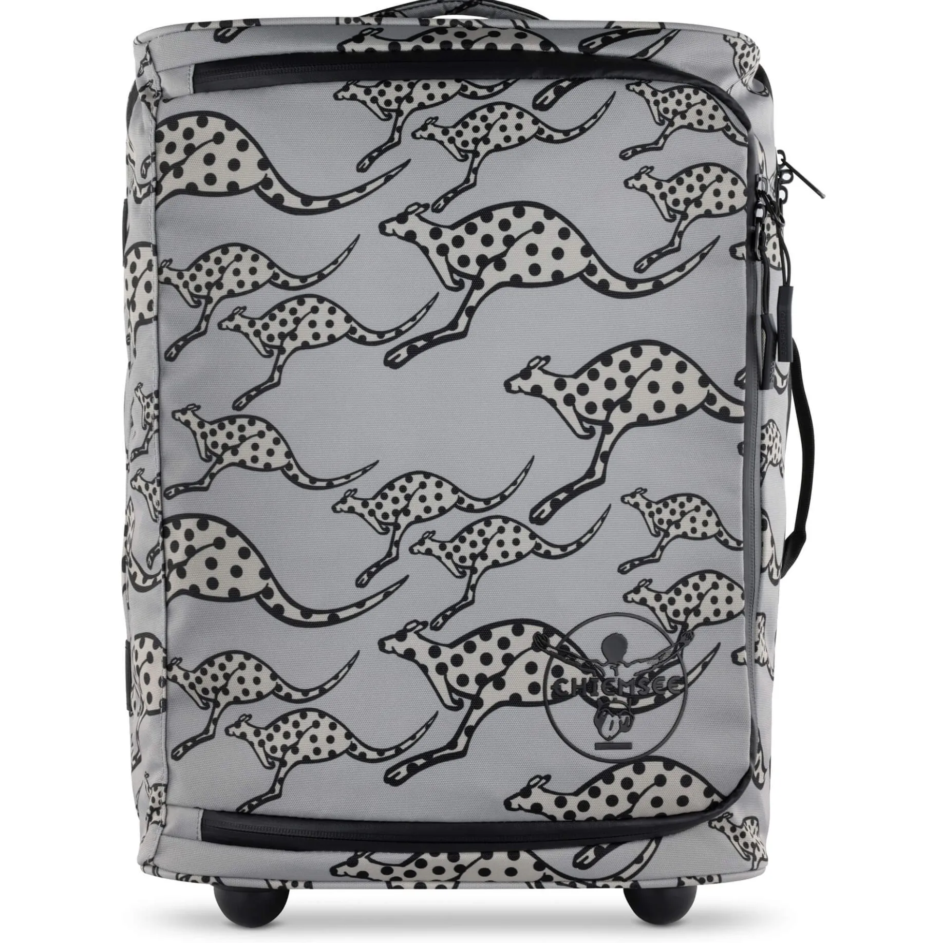 Jump N Fly - 2-Rollen Kabinentrolley 46 cm (grau)