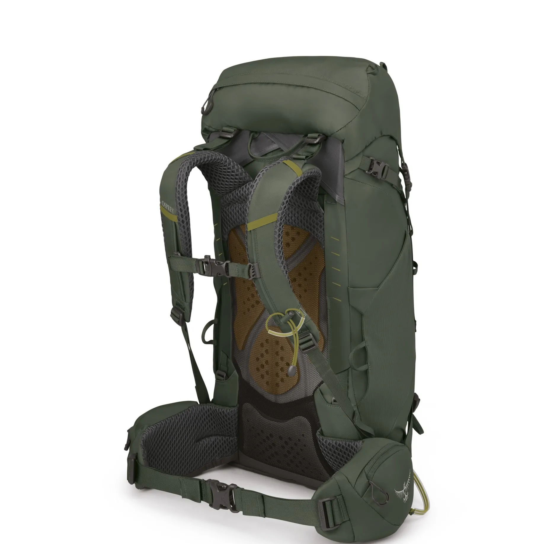 Kestrel 38 L/XL - Trekkingrucksack 79 cm (bonsai green)