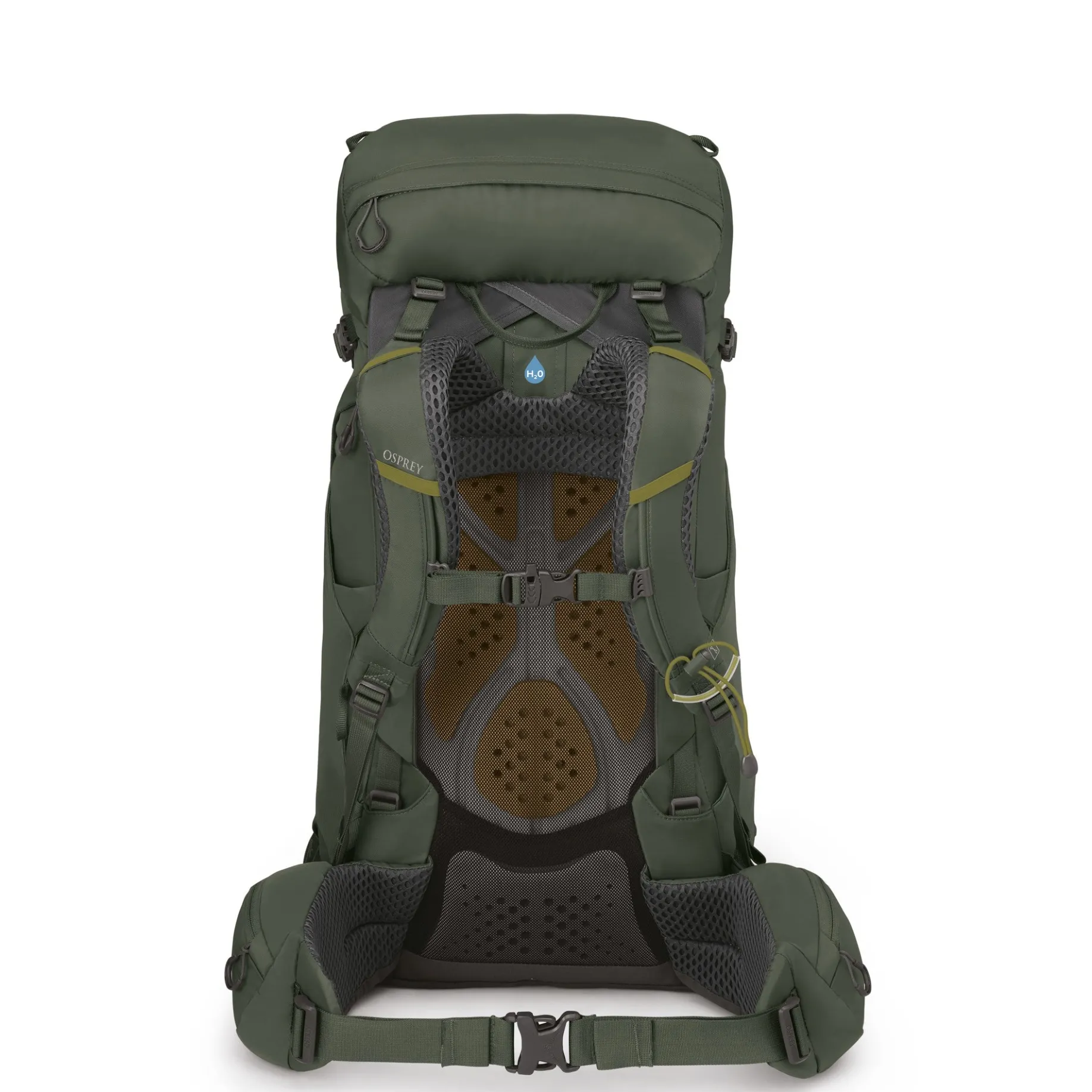 Kestrel 38 L/XL - Trekkingrucksack 79 cm (bonsai green)