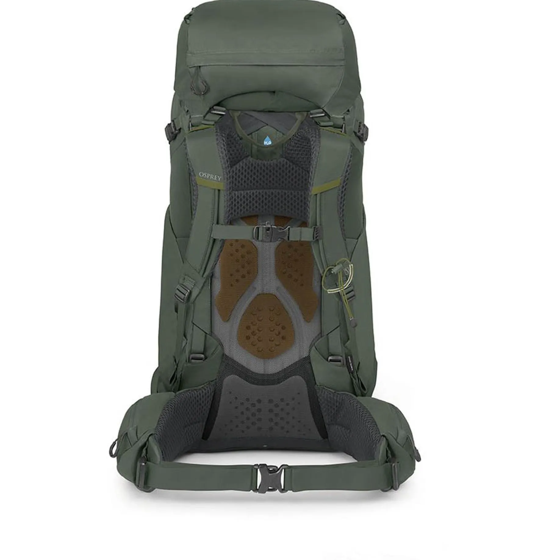 Kestrel 58 S/M - Trekkingrucksack 77 cm (bonsai green)