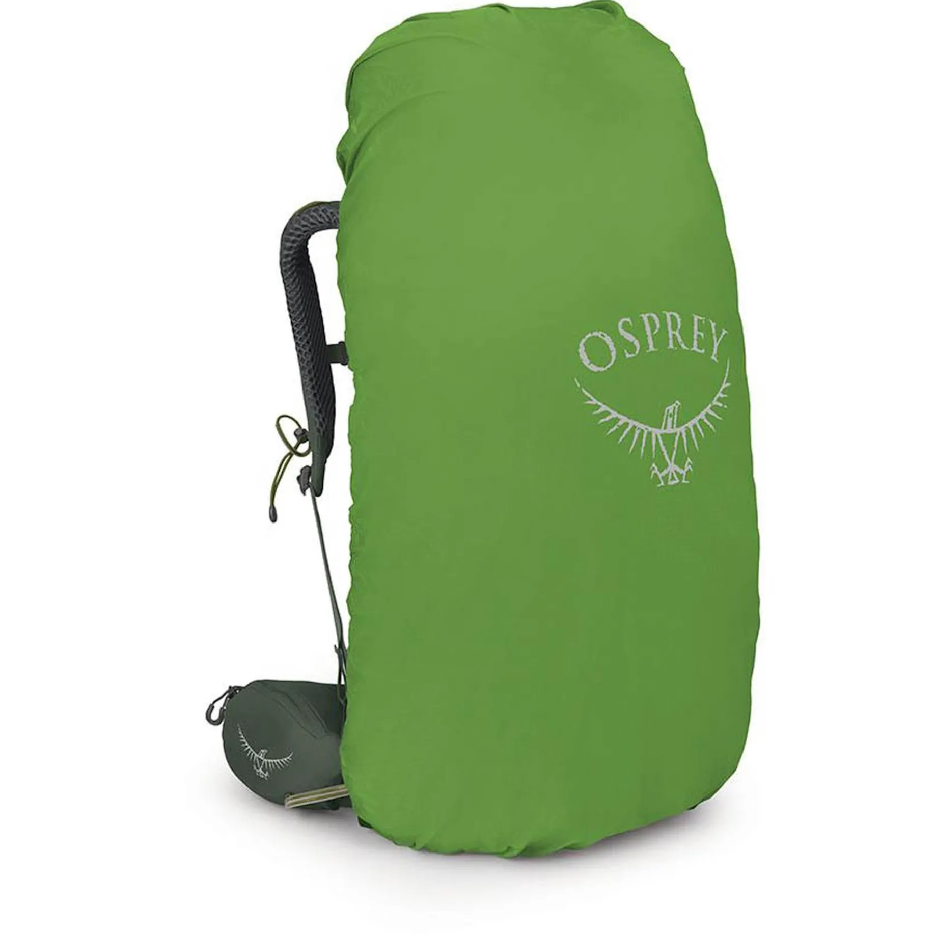 Kestrel 58 S/M - Trekkingrucksack 77 cm (bonsai green)