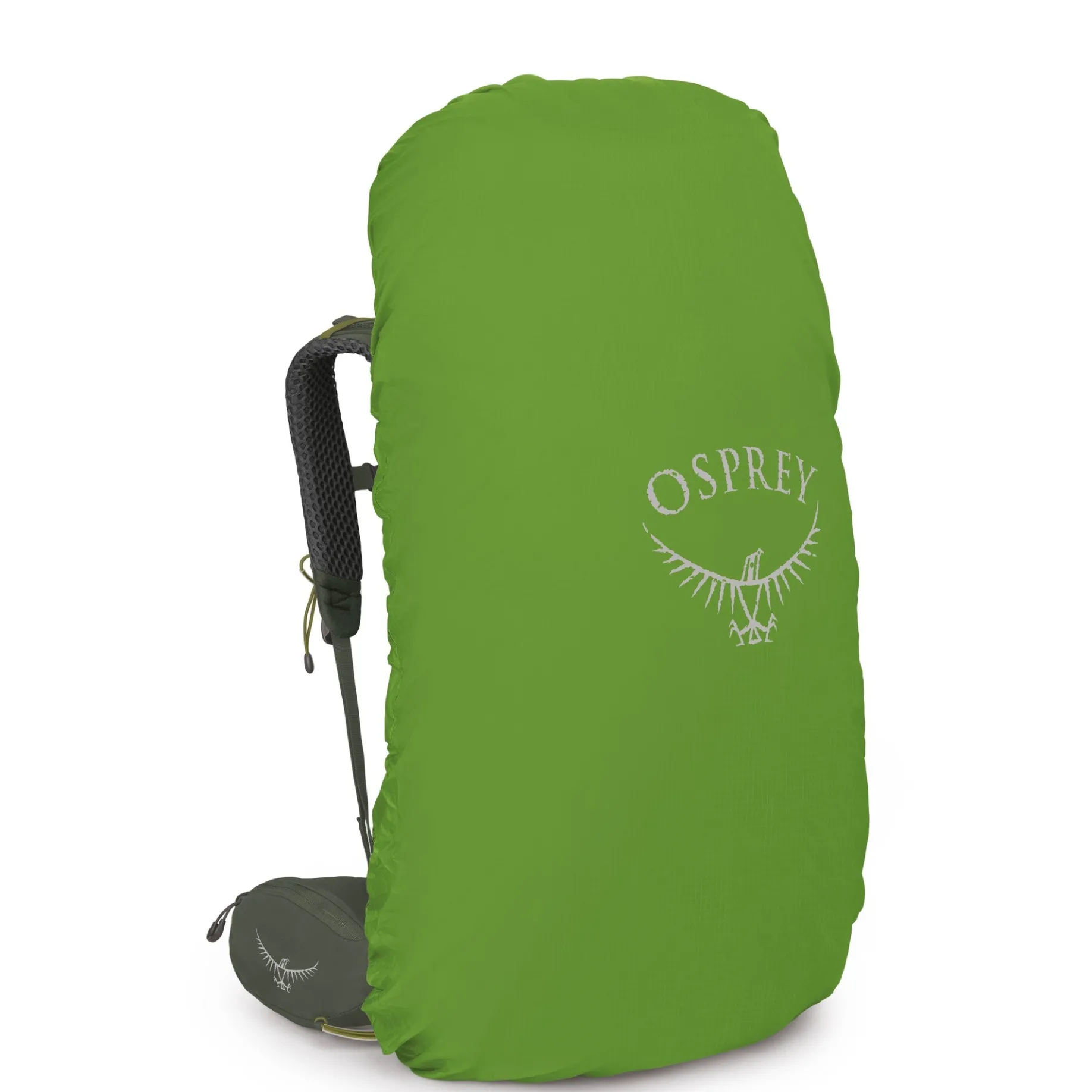 Kestrel 68 S/M - Trekkingrucksack 77 cm (bonsai green)