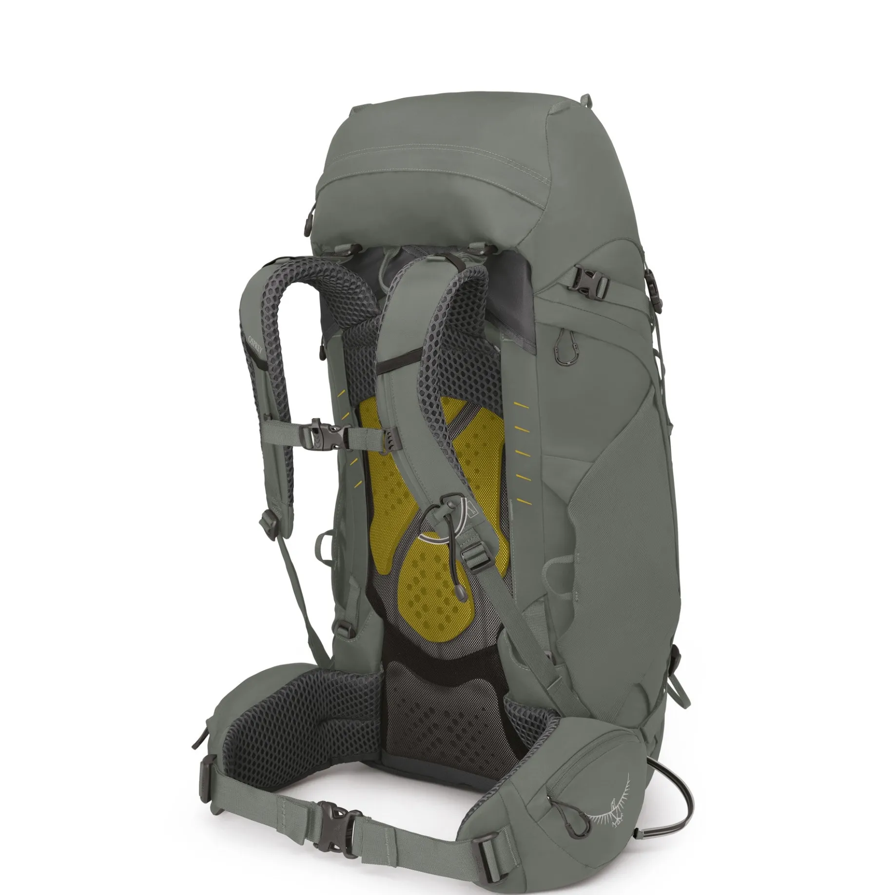 Kyte 48 WM/L - Trekkingrucksack 71 cm (rocky brook green)