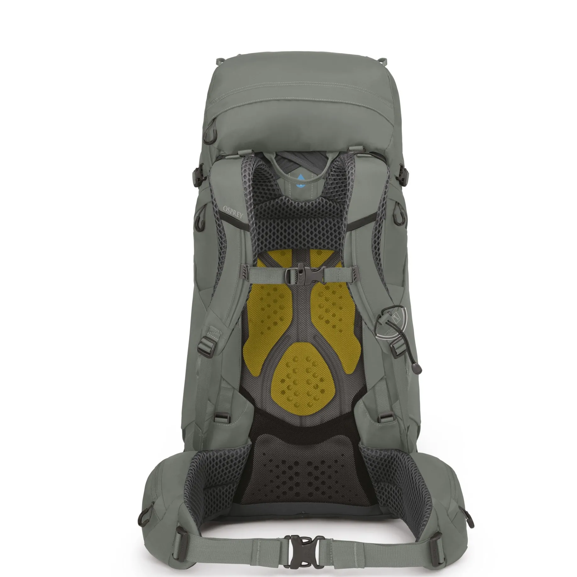 Kyte 48 WM/L - Trekkingrucksack 71 cm (rocky brook green)
