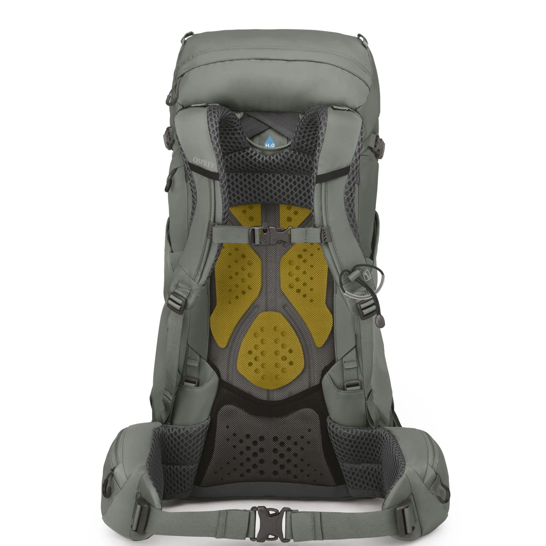 Kyte 38 WM/L - Trekkingrucksack 71 cm (rocky brook green)
