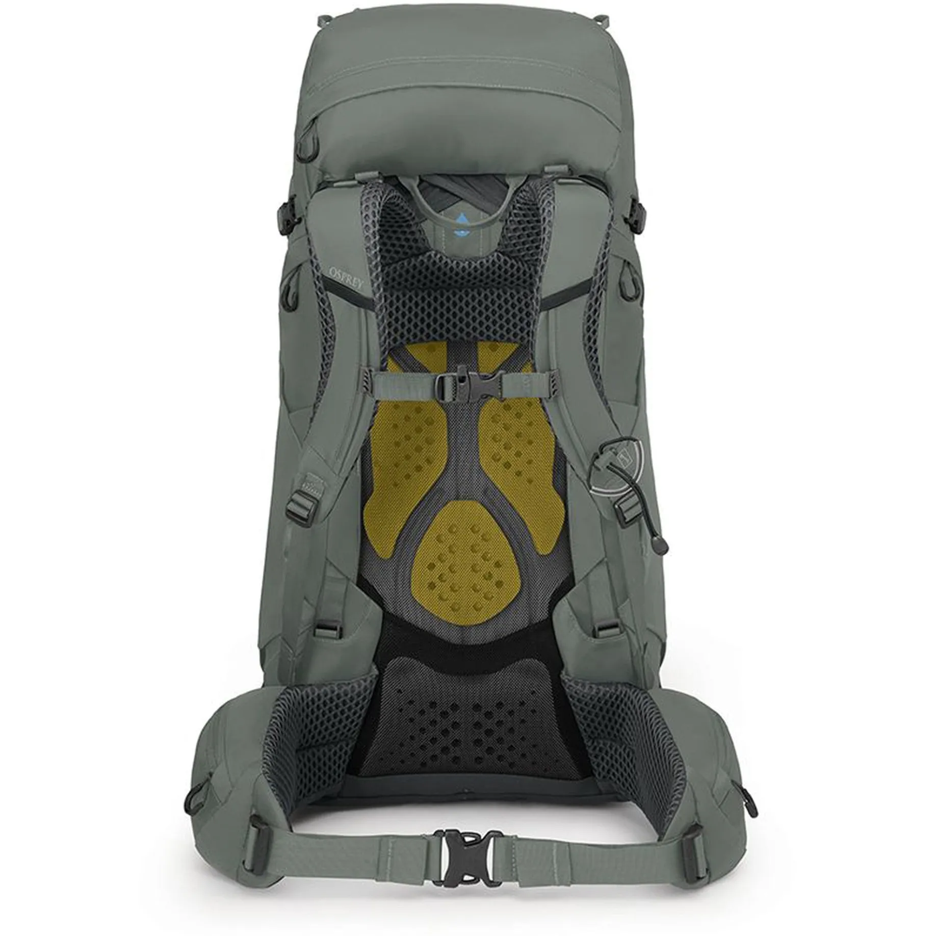 Kyte 48 WXS/S - Trekkingrucksack 66 cm (rocky brook green)