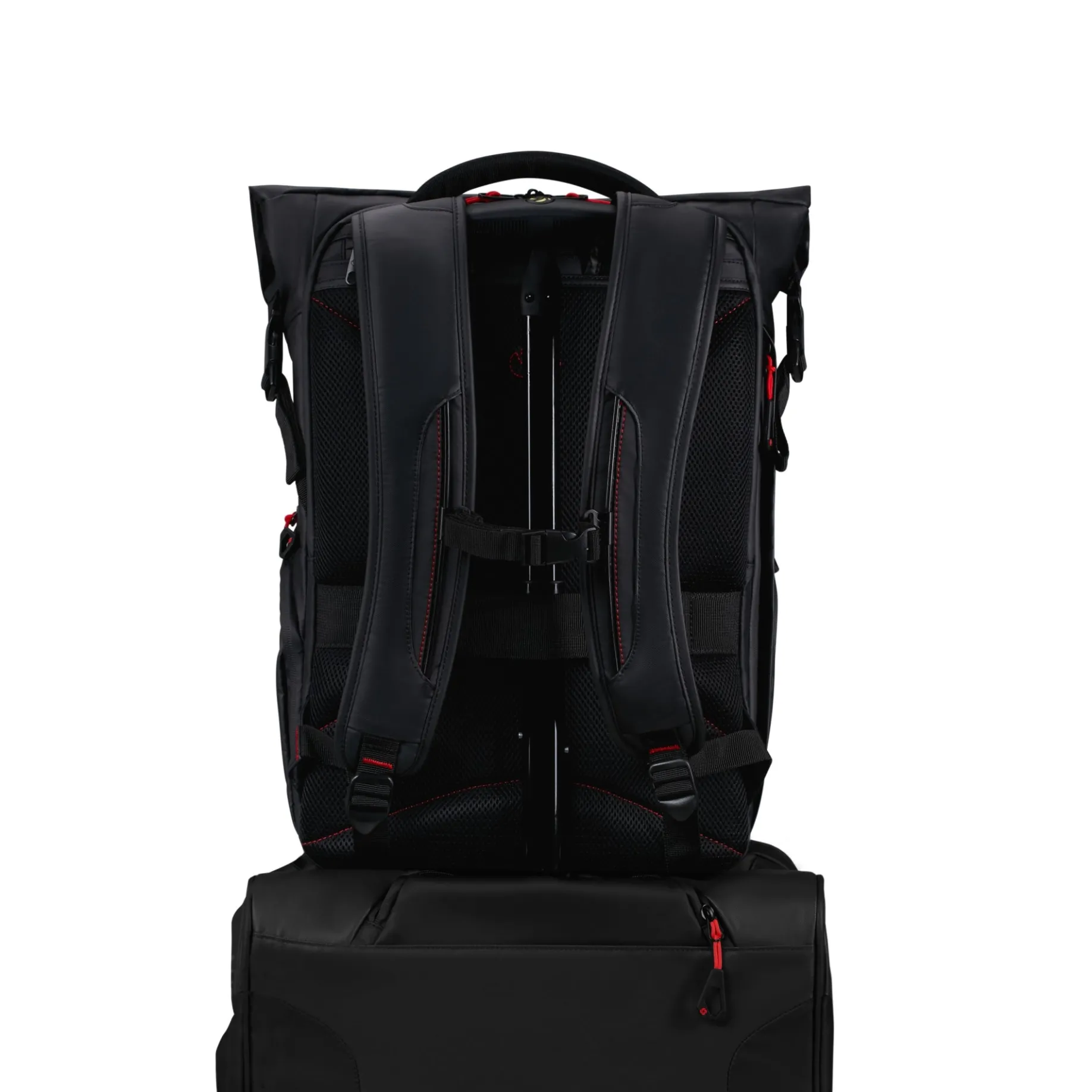 Paradiver Light - Rolltop Rucksack L 17.3" (black)