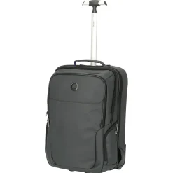 Parvis Plus WPS Business - 2-Rollen - Rucksacktrolley 17.3" 51 cm (grau)
