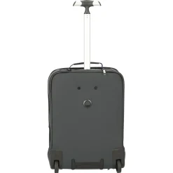 Parvis Plus WPS Business - 2-Rollen - Rucksacktrolley 17.3