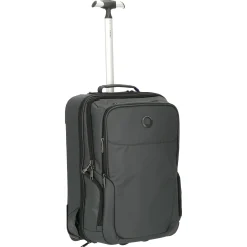 Parvis Plus WPS Business - 2-Rollen - Rucksacktrolley 17.3