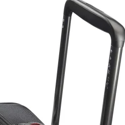 PRO-DLX 5 - 4-Rollen-Kabinentrolley S 55 cm erw. (black)