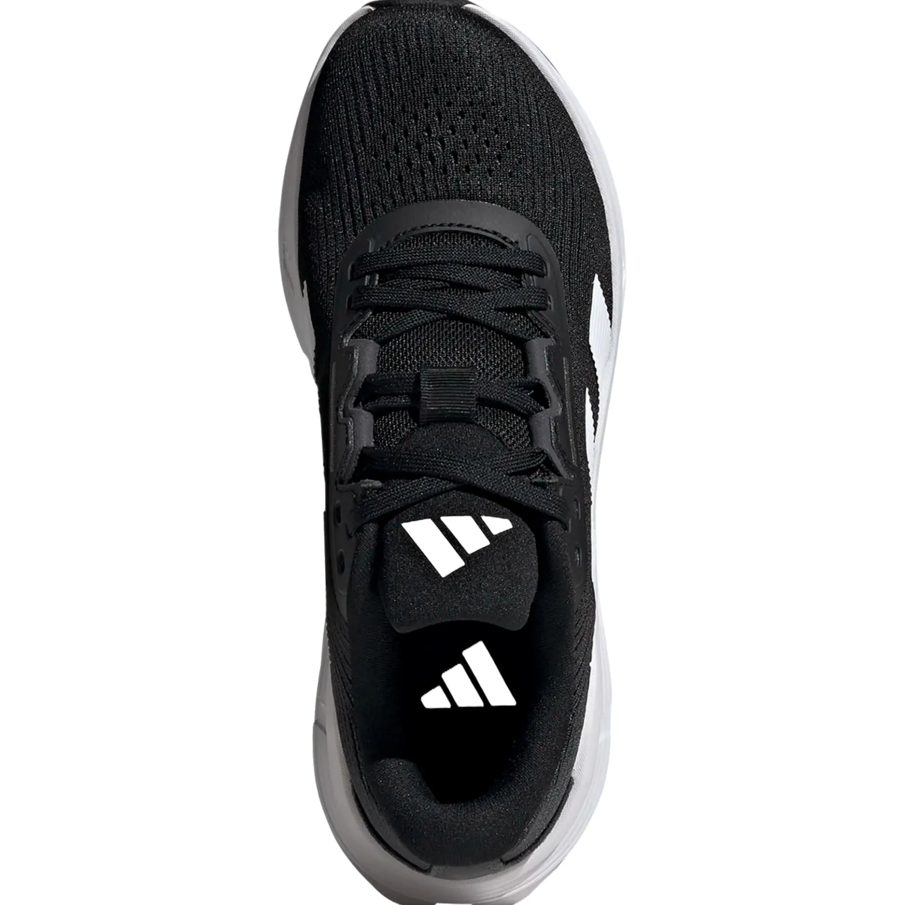 Questar 3 W - Laufschuh Women (core black/ftwr white/carbon, 38 2/3)