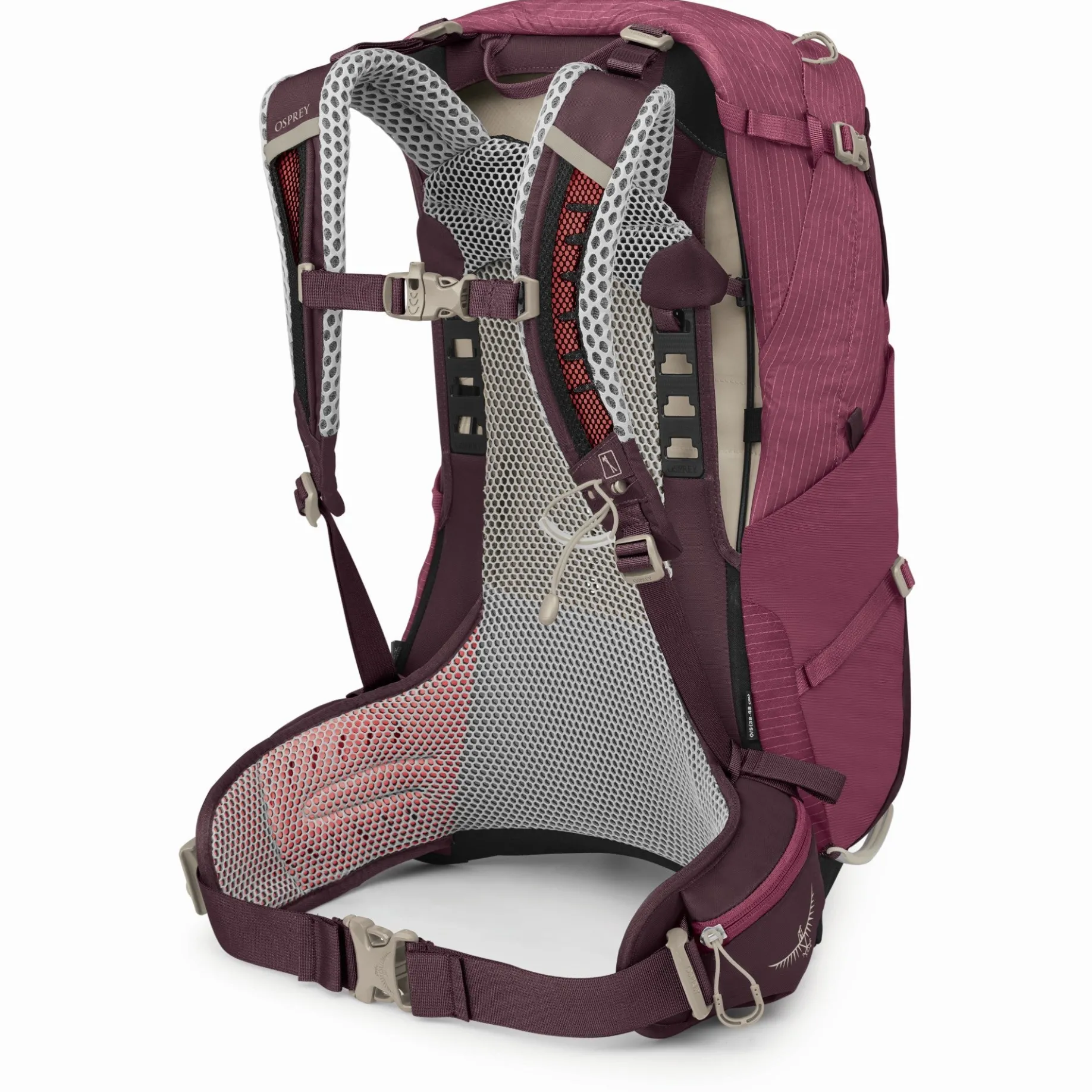 Sirrus 24 Women - Wanderrucksack 55 cm (elderberry purple/chiru tan)