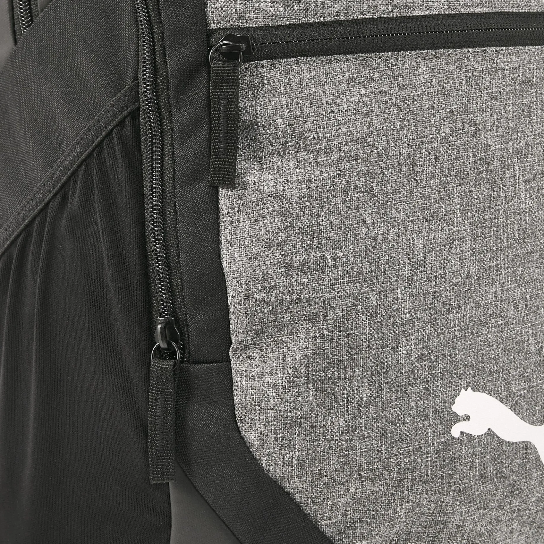 teamFINAL - Rucksack L 50 cm (black)