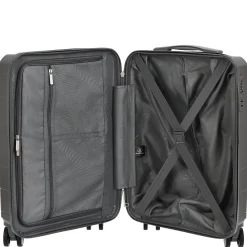 Travel Line 2900 - 4-Rollen-Kabinentrolley S 55 cm (grau)