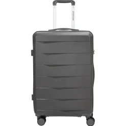 Travel Line 2900 - 4-Rollen-Trolley M 65 cm (grau)