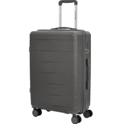 Travel Line 2900 - 4-Rollen-Trolley M 65 cm (grau)
