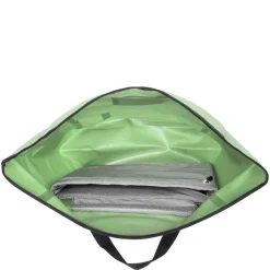 Velocity PS 23 - Rucksack 50 cm (pistachio)