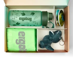 Zubehör Fanbox (Dinosaurier)