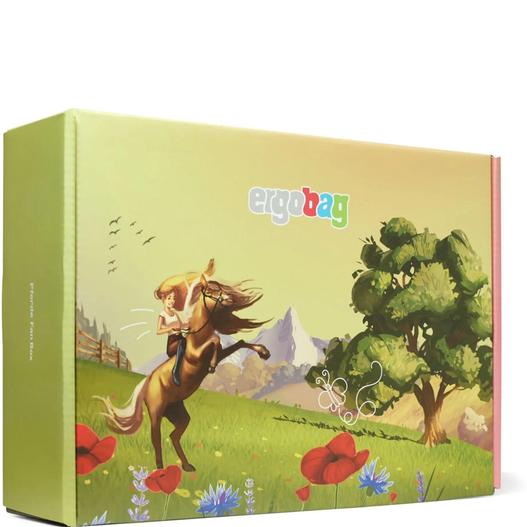 Zubehör Fanbox (Pferde)